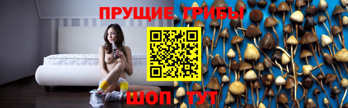 наркота  Вход с VPN  Псилоцибиновые грибы Psilocybine cubensis  Богородицк  Псилоцибиновые грибы прущие грибы 